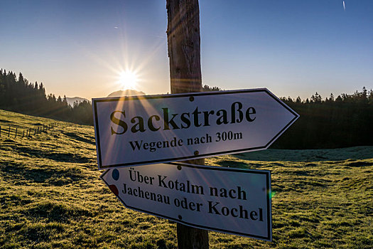 德国,巴伐利亚,巴伐利亚阿尔卑斯山,标志物,途中,早晨,亮光