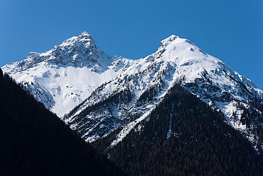 顶峰,山脉,东方,阿尔卑斯山,瑞士,欧洲