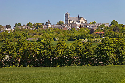风景,哥特式,教区教堂,莱茵兰普法尔茨州,德国,欧洲