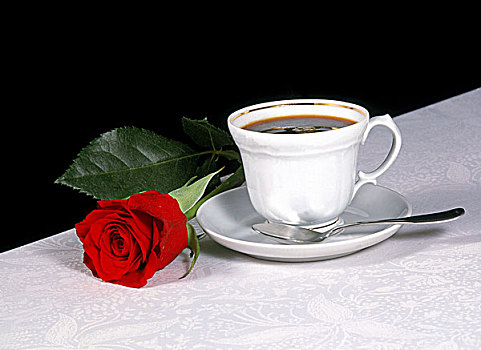 玫瑰,咖啡杯