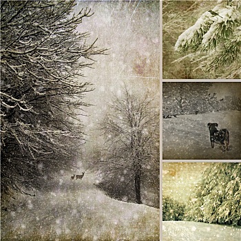 冬天,照相,抽象拼贴画
