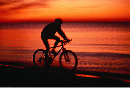 剪影,男人,骑自行车,海滩,日落,安大略省,加拿大