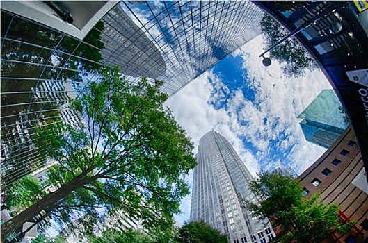 金融,摩天大楼,北卡罗来纳,美国