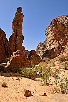峡谷,石头,塔,国家公园,世界遗产,撒哈拉沙漠,阿尔及利亚,非洲