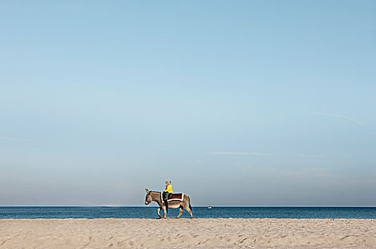 驴,骑,海滩