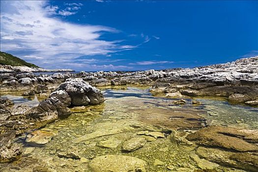 海边风景,靠近,杜布罗夫斯克-内雷特瓦县,达尔马提亚,克罗地亚,欧洲