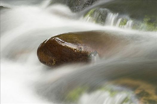 流水,石头,山谷,北方,黑森林,巴登符腾堡,德国,欧洲