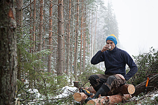伐木工,休憩,原木,芬兰