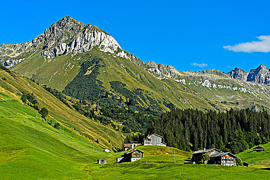 山景,散开,住宅区,瑞士,欧洲