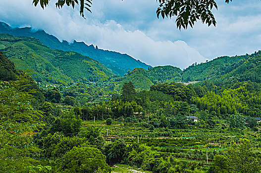 美丽山景