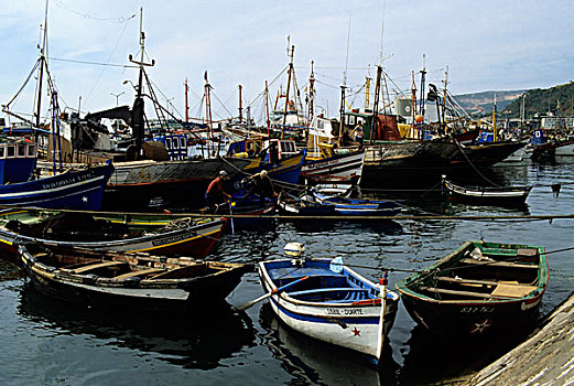葡萄牙,渔村,彩色,渔船