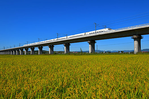 行驶在丰收田野的高铁列车