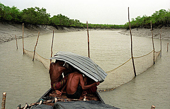 渔民,遮蔽,季风,雨,捕鱼,一个,河流,河,丛林