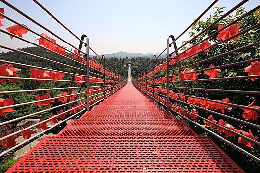 南京银杏湖吊索桥景观