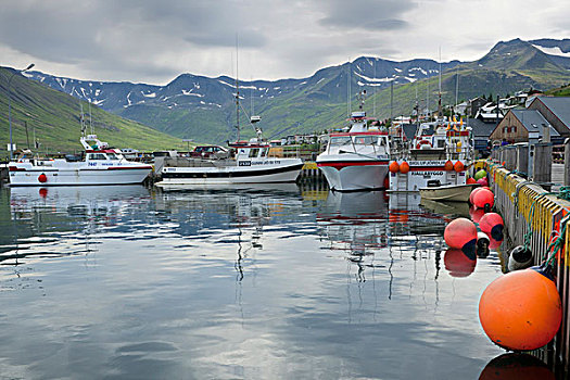 船,港口,冰岛,欧洲