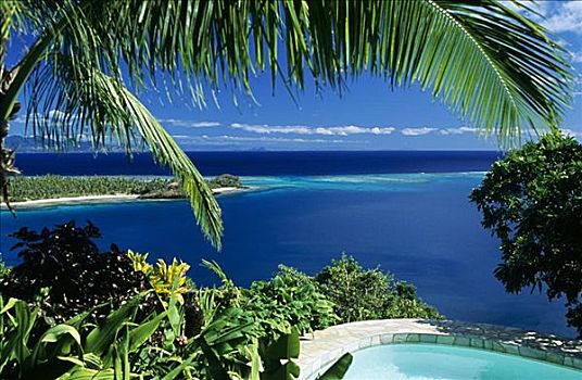 斐济,瓦卡亚岛,家,水池,漂亮,海景,框架,棕榈叶