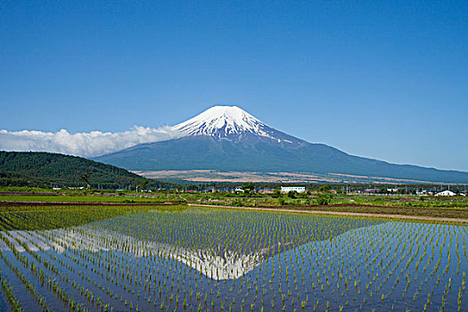 富士山,反射,湖,日本,亚洲
