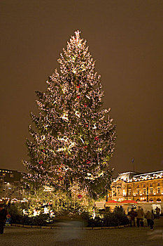 法国,阿尔萨斯,斯特拉斯堡,地点,胶,圣诞树,彩灯,晚间,欧洲,市中心,光亮,装饰,圣诞装饰,圣诞彩灯,圣诞前夕,圣诞时节