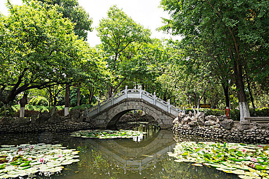 荷塘石桥