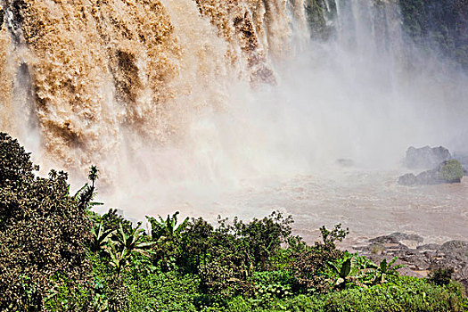 瀑布,蓝色,尼罗河,埃塞俄比亚