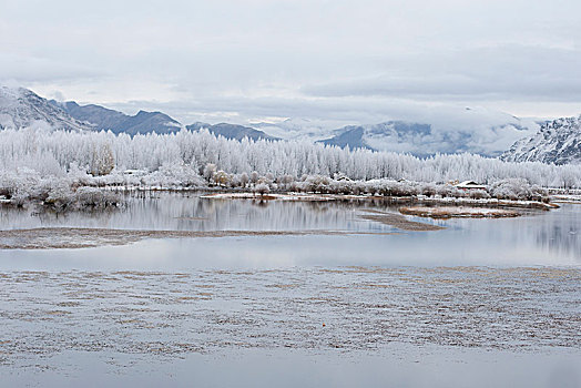 雪景