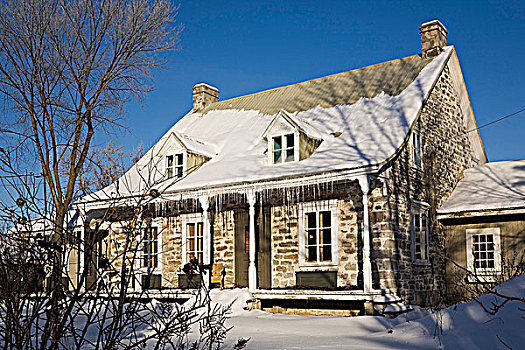 风格,住宅,家,冬天,魁北克,加拿大