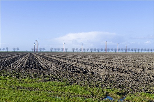 风车,农场,荷兰