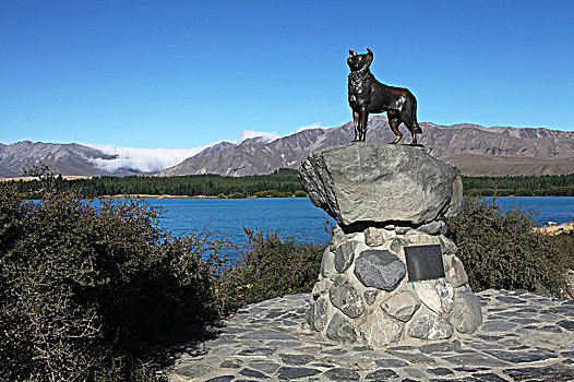 新西兰第卡波湖岸边的牧羊犬铜像