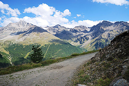 阿尔卑斯山,维诺斯塔