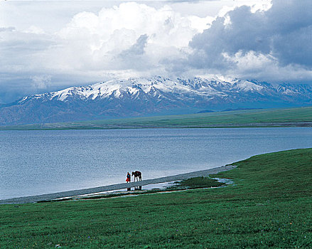 新疆,人,动物,湖