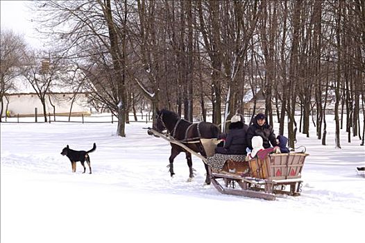 马,人,雪橇,雪,乡间小路,乌克兰,东欧