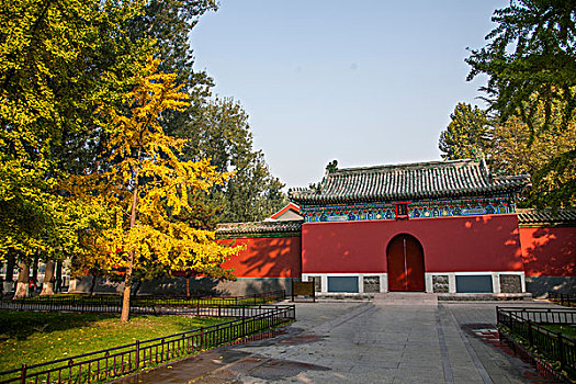 北京北海公园秋色