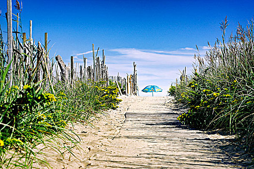 海滩伞,远景,海滩