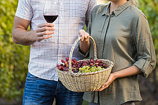 两个,年轻,高兴,酿酒商,拿着,篮子,葡萄,葡萄酒杯,地点