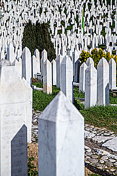 萨拉热窝的坟场
