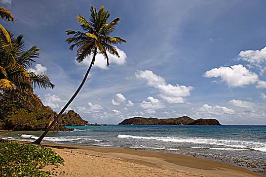 沙滩,海浪,小,多巴哥岛,特立尼达和多巴哥,北美