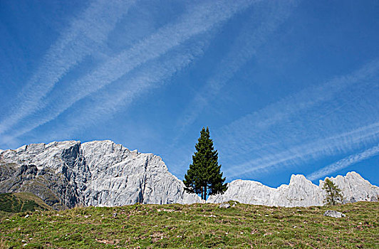 阿尔卑斯山,远足,萨尔茨堡州,奥地利,欧洲