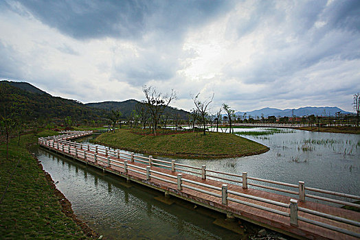 草地,道路,花木,绿色