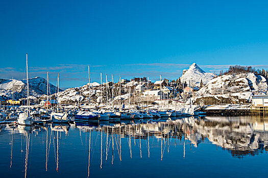 港口,罗弗敦群岛,挪威,欧洲