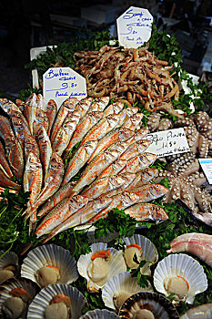 多样,餐饮,特色食品,地中海,展示,渔民,威尼斯