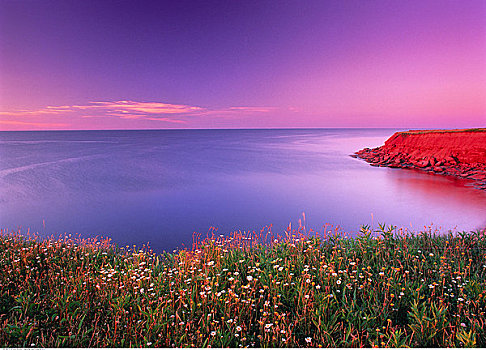 海滩,爱德华王子岛,国家公园,加拿大