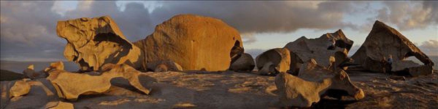 日落,石头,追逐,国家公园,袋鼠,岛屿,澳大利亚