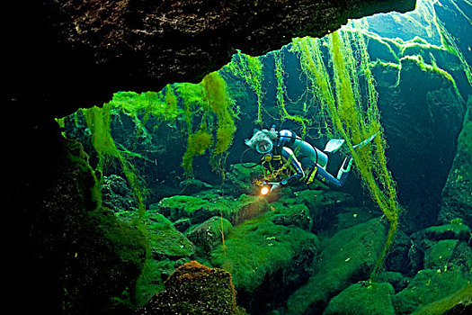 水中呼吸器,潜水,沼穴,洞状陷穴,自然,繁茂,藻类,尤卡坦半岛,墨西哥,加勒比
