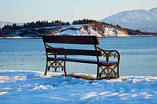 公园长椅,雪,岸边,冬天,凯瑞郡,爱尔兰