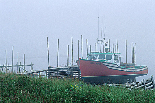 船,港口,雾,新斯科舍省,加拿大
