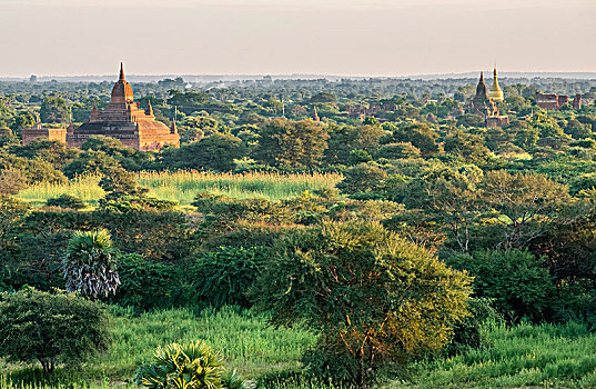 缅甸,曼德勒,区域,蒲甘,遗迹,风景,寺庙