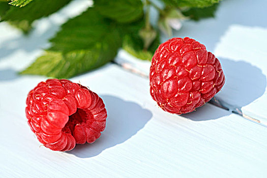 两个,树莓,特写