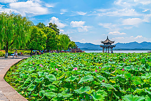 亭子,西湖,杭州