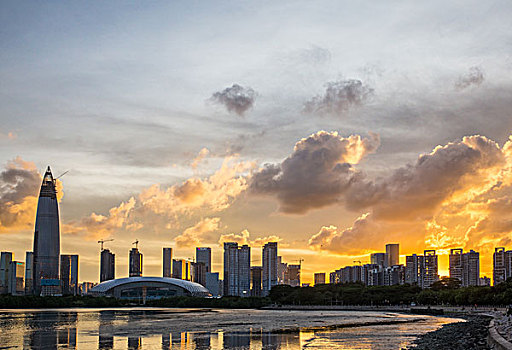 深圳市南山区后海片区