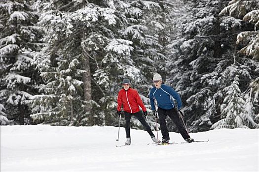 伴侣,越野滑雪,不列颠哥伦比亚省,加拿大